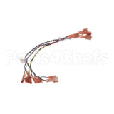 52125 Blodgett Harness,Xl50E Door Lock Assembly