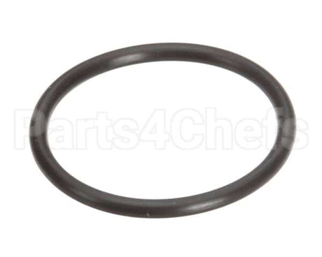 5308696 Sloan H553 O-Ring
