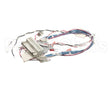 53230 Blodgett Harness,Combi Man Frt 24V
