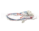 53230 Blodgett Harness,Combi Man Frt 24V