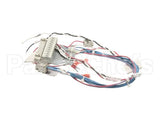 53230 Blodgett Harness,Combi Man Frt 24V