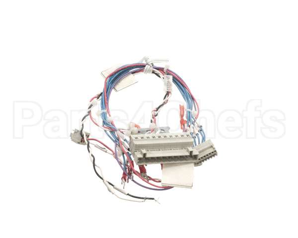 53230 Blodgett Harness,Combi Man Frt 24V