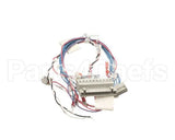 53230 Blodgett Harness,Combi Man Frt 24V