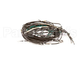 55049-72 Apw Wyott Wire Set Hfw-3 Inf Control 72