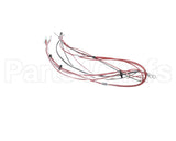 55226.0003 Bunn Wiring Harn, Main Fast Cup Retrofit