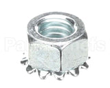 5592 Nieco Kep Nut