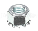 5592 Nieco Kep Nut