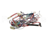 56002022 Amana Menumaster Harness, Main