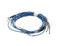 56164 Apw Wyott 4-Wire Set Term W/Term Blk