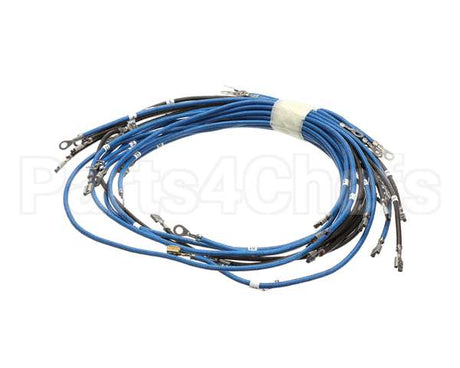 56164 Apw Wyott 4-Wire Set Term W/Term Blk