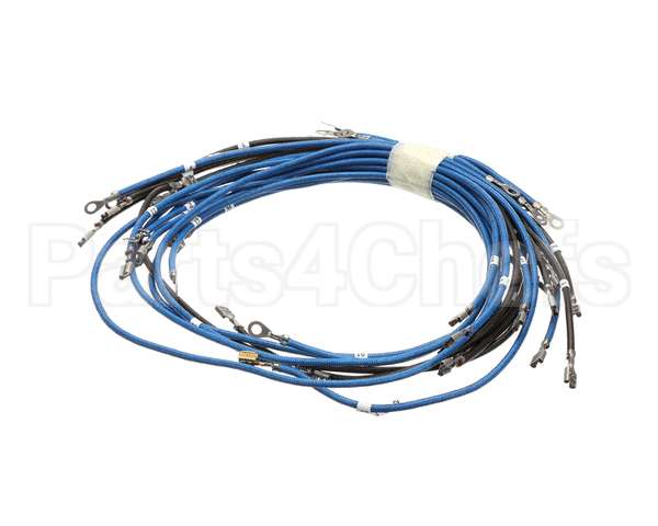 56164 Apw Wyott 4-Wire Set Term W/Term Blk