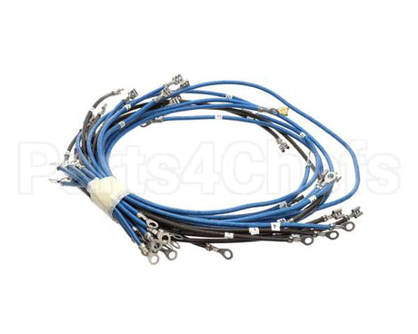 56164 Apw Wyott 4-Wire Set Term W/Term Blk