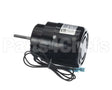 56825002 Markel Motor