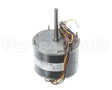 56944001 Markel Motor