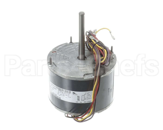 56944001 Markel Motor