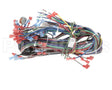 57480 Blodgett Harness, Neeo, Rear