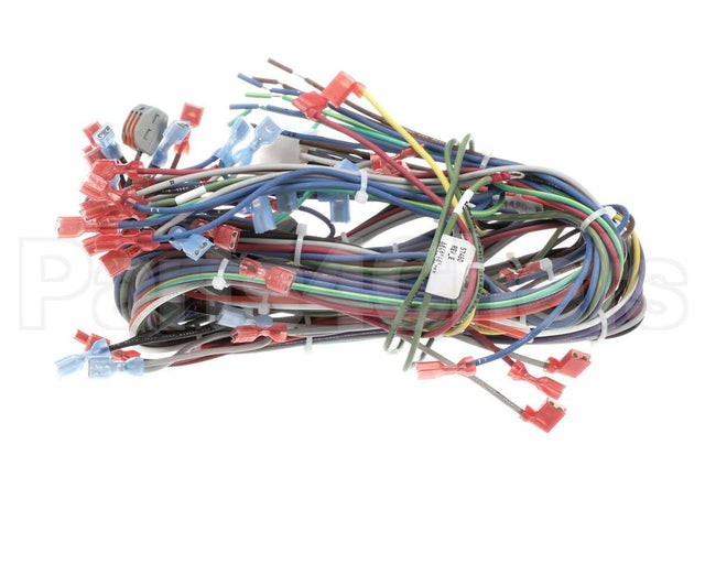 57480 Blodgett Harness, Neeo, Rear