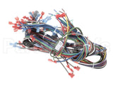 57480 Blodgett Harness, Neeo, Rear