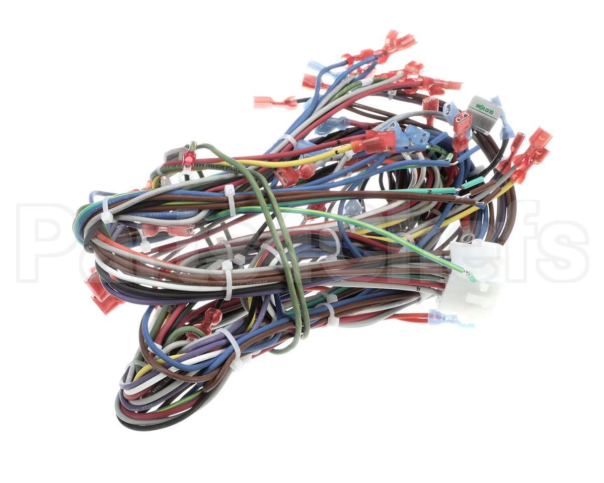 57480 Blodgett Harness, Neeo, Rear