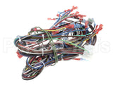 57480 Blodgett Harness, Neeo, Rear