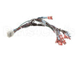 57481 Blodgett Harness,Frt Neeo Man