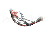57481 Blodgett Harness,Frt Neeo Man