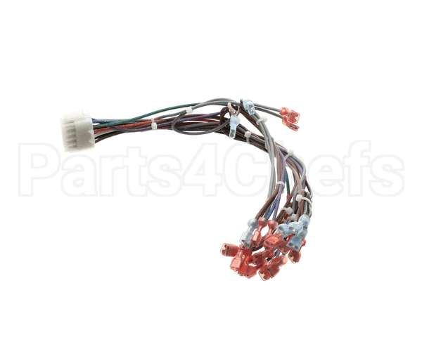 57481 Blodgett Harness,Frt Neeo Man