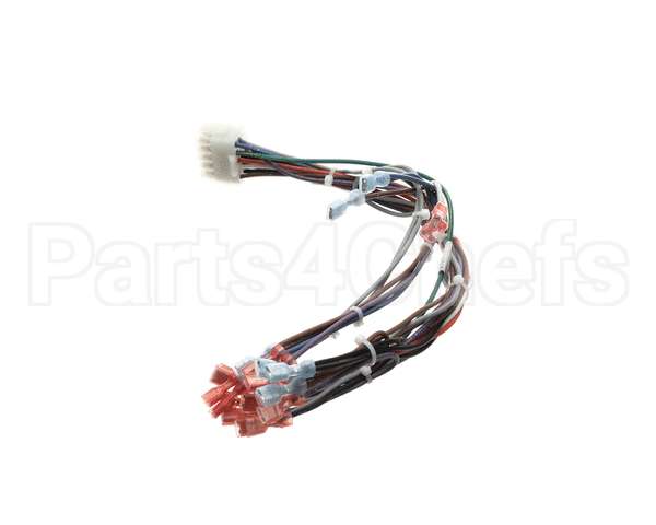 57481 Blodgett Harness,Frt Neeo Man