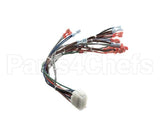 57481 Blodgett Harness,Frt Neeo Man