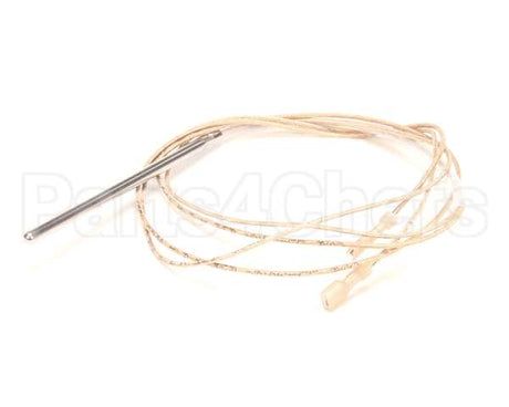 57562 Blodgett Probe,Temp W/Lit 1K Rtd
