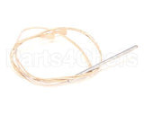57562 Blodgett Probe,Temp W/Lit 1K Rtd