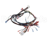 57856 Blodgett Harness,Dfg-Es, Control Ssd
