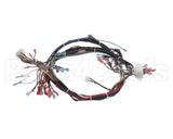 57856 Blodgett Harness,Dfg-Es, Control Ssd