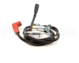 58100 Blodgett Kit,Pilot Assembly W/Wire Ng Ha