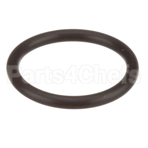 58989 Saniserv O-Ring Switch Pressure