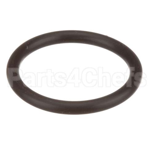 58989 Saniserv O-Ring Switch Pressure