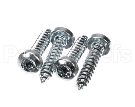 59546 Robot Coupe Screw Assembly 3,9X19 Torx