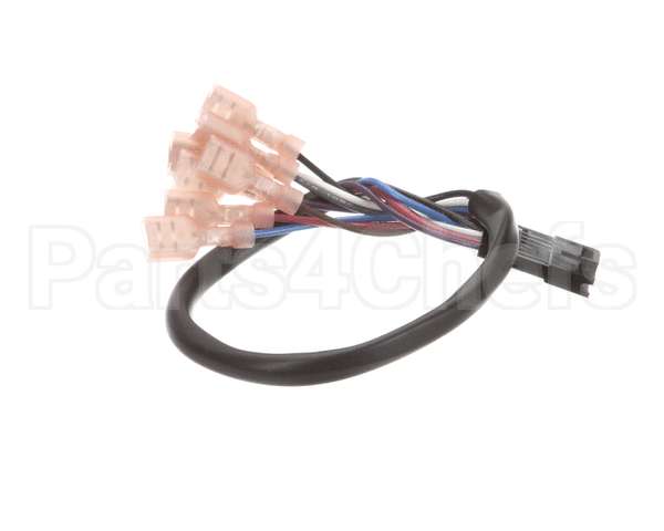 5999-004-10-49 Jackson Harness, Membrane Switch Wire
