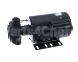 60030062 Frontline Pump And Motor Assy