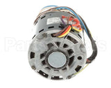600HD Centrimatic 1/2 Hp Mtr Egg Separator