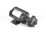 60130802 Pitco Pump,8Gpm Assembly .3Hp 240V 50Hz