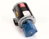 60143525 Pitco Pump,Assembly 240V 8Gpm 2Wpztf 34M