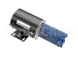 60207604 Pitco Pump,10Gpm 115/230 Assembly