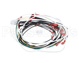 60389-001 Henny Penny Harn-120V/60/1 Ofg/Oga-32X So