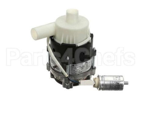 6042123 Giorik Pump, Wash, Evo, Sb