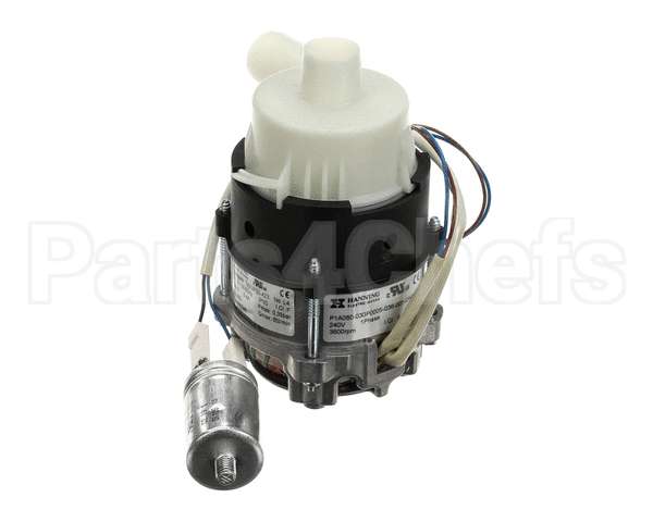 6042123 Giorik Pump, Wash, Evo, Sb
