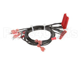 60742 Henny Penny Assembly-Wire Ofe Control,El