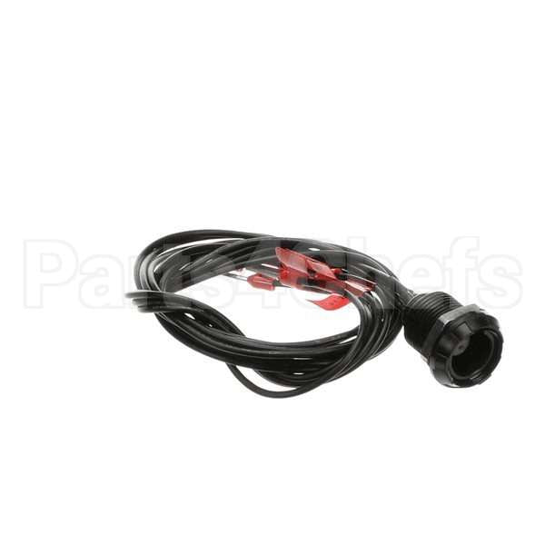 60899 Compatible Blodgett Socket, Core Probe