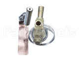 610060107 Ifi America Expansion Valve Ts2