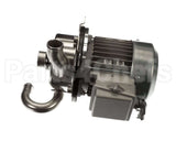 6105-003-52-78 Jackson Motor, Pump (Jsp2U3M) 240-480V